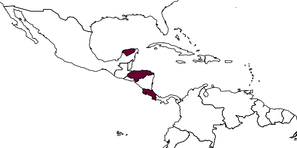 map of Odontobracon janzeni     Marsh, 1988